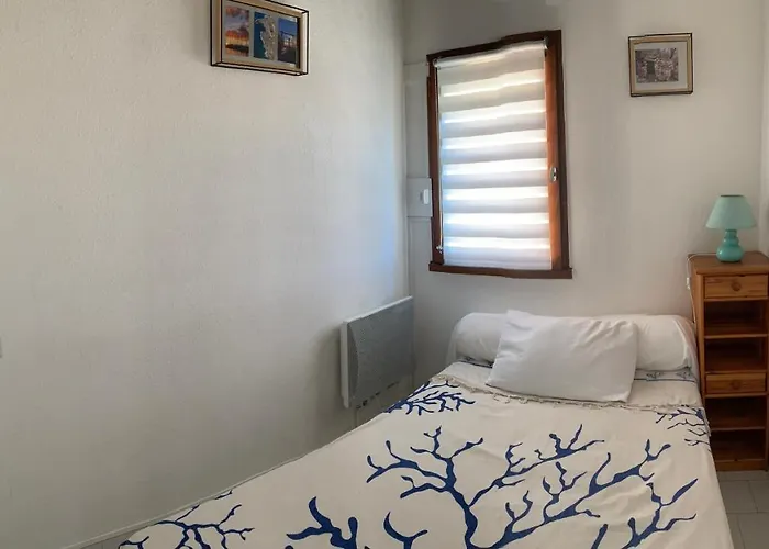 Appartement T3 Climatise 40m2 Piscine Parking Prive 2 Secteur Falaises 50 M De La Proche Centre-port 4 Personnes Agde
