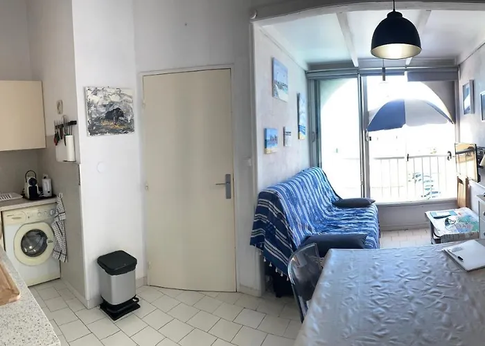 Appartement T3 Climatise 40m2 Piscine Parking Prive 2 Secteur Falaises 50 M De La Proche Centre-port 4 Personnes Agde